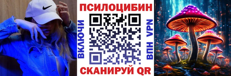 blacksprut как войти  Димитровград  Псилоцибиновые грибы ЛСД 